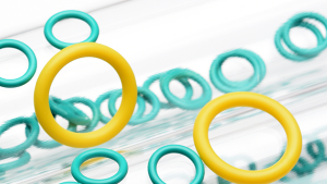 Shelf life of an O Ring  Specialist Sealing Products